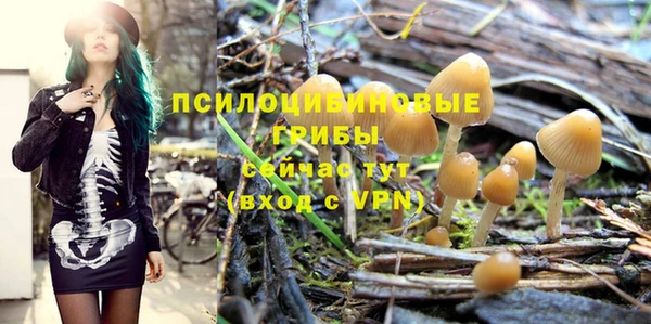 mdma Гусь-Хрустальный