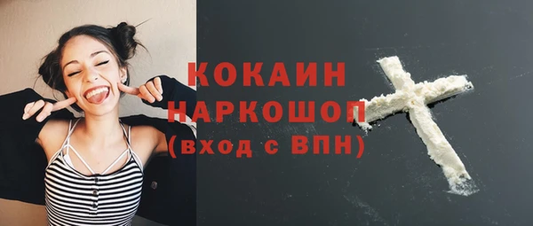 винт Дмитриев