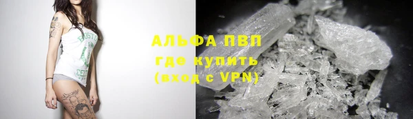 стаф Новокубанск