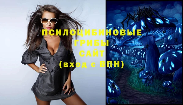 прущие грибы Шарыпово