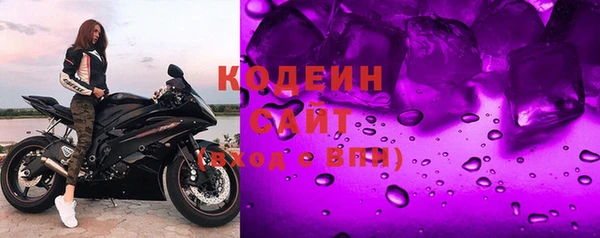 гашик Гусев